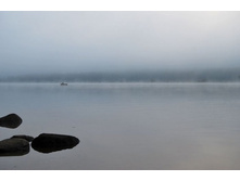 �������� ����� ���� �������