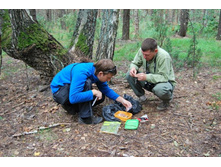 ������ ����