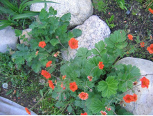 �������� ���������.jpg