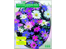 ������ ������ _100_2�.jpg