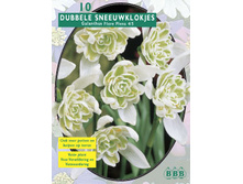 ���������� ��������_3_22.jpg