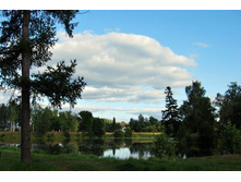 ���� � �������� ����� ������ ���� (�)