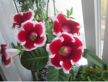 ��������� ������ �������.JPG