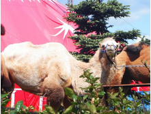 ��������1