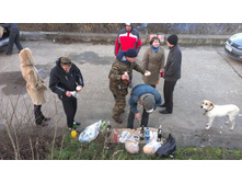 2012-10-27 16.37.08.jpg