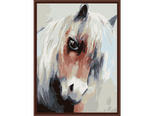 CE002 �������_30�40.jpg