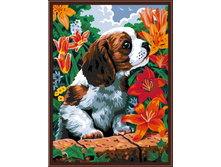 CE003 ����� � �����_30�40.jpg