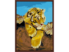 CE006 ��������_30�40.jpg