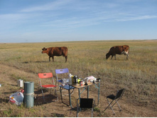 ������ ���� � ���������� ))