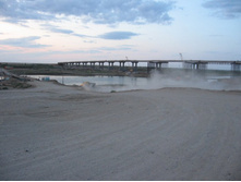 ���� ����� ���� ����