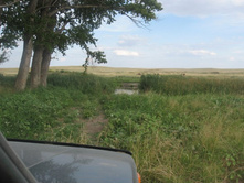 ��������� ���� �����, ��� ���� ����