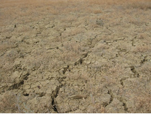 �������� �����