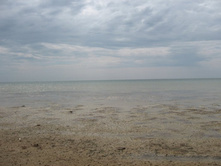 ����� ����