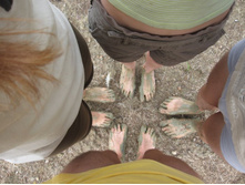 ���� �� ������ ��� ���� )