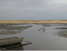 ������������ ��������