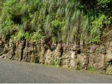 ������� ������� �̣��