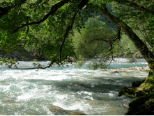 ������� ���� ������ ���