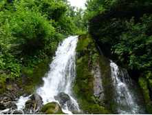 �������� �������