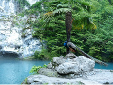 ������� �����:)