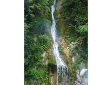 ������� ������� �����