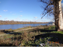 DSC01295 (800x600).jpg