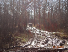 DSC01302 (800x600).jpg