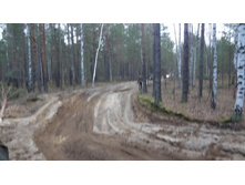 DSC01327 (800x450).jpg