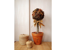 �������������� ������