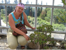 ����������� �������� ������ - ����� �������.