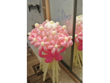 ����� �� 17 ������� 450�.