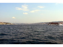 ������...