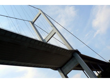 ...� ���� ����� ����