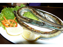 ����-�����