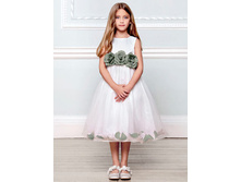 ������ ���. 6583320070