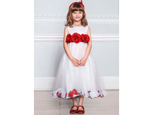 ������ ���. 6583390007