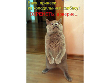 getImage (1).jpg