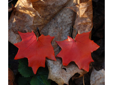 ������_�������� ����_9.jpg