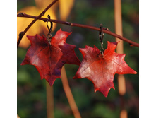 ������_�������� ����_10.jpg