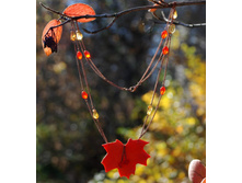 ��������_�������� ����_������2_2.jpg