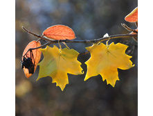 ������_�������� ����_11.jpg