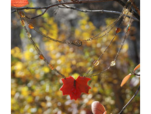 ��������_�������� ����_������1_2.jpg