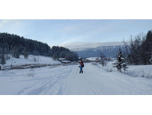 [40] 2013, 105_0601, 2 images, _IGP3387 - _IGP3388 - 5761x2892 - SCUL_1-Smartblend.jpg