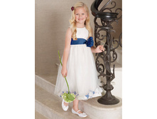 ������ ���. 6573331548