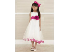 ������ ���. 6573006257