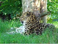 06 ���У��