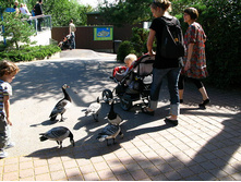 07 ���� �� ����� ����� (��� �� ����, ����, � ��������� ������)