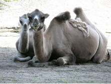 16 ���������� � ����������  :)