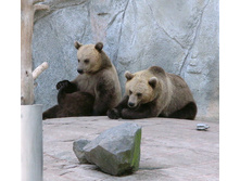 19 ����� �����-����� ������