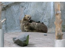 23 ��������� - ������ �����������!