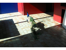 29 ����� ���� ���!!!